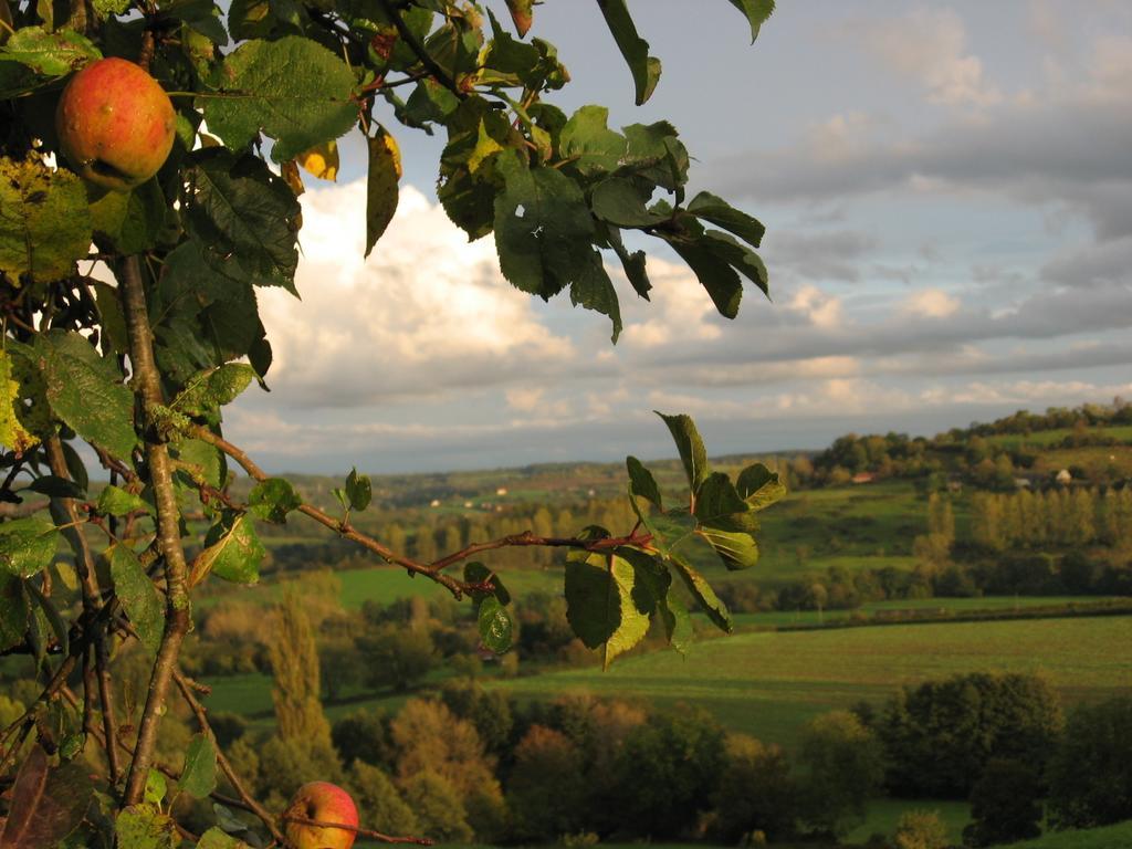 La Boursaie Bed & Breakfast Livarot-Pays-d'Auge Exterior foto