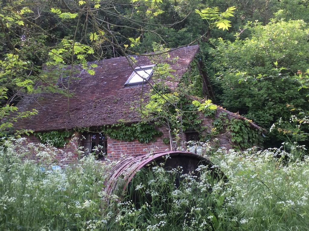 La Boursaie Bed & Breakfast Livarot-Pays-d'Auge Exterior foto